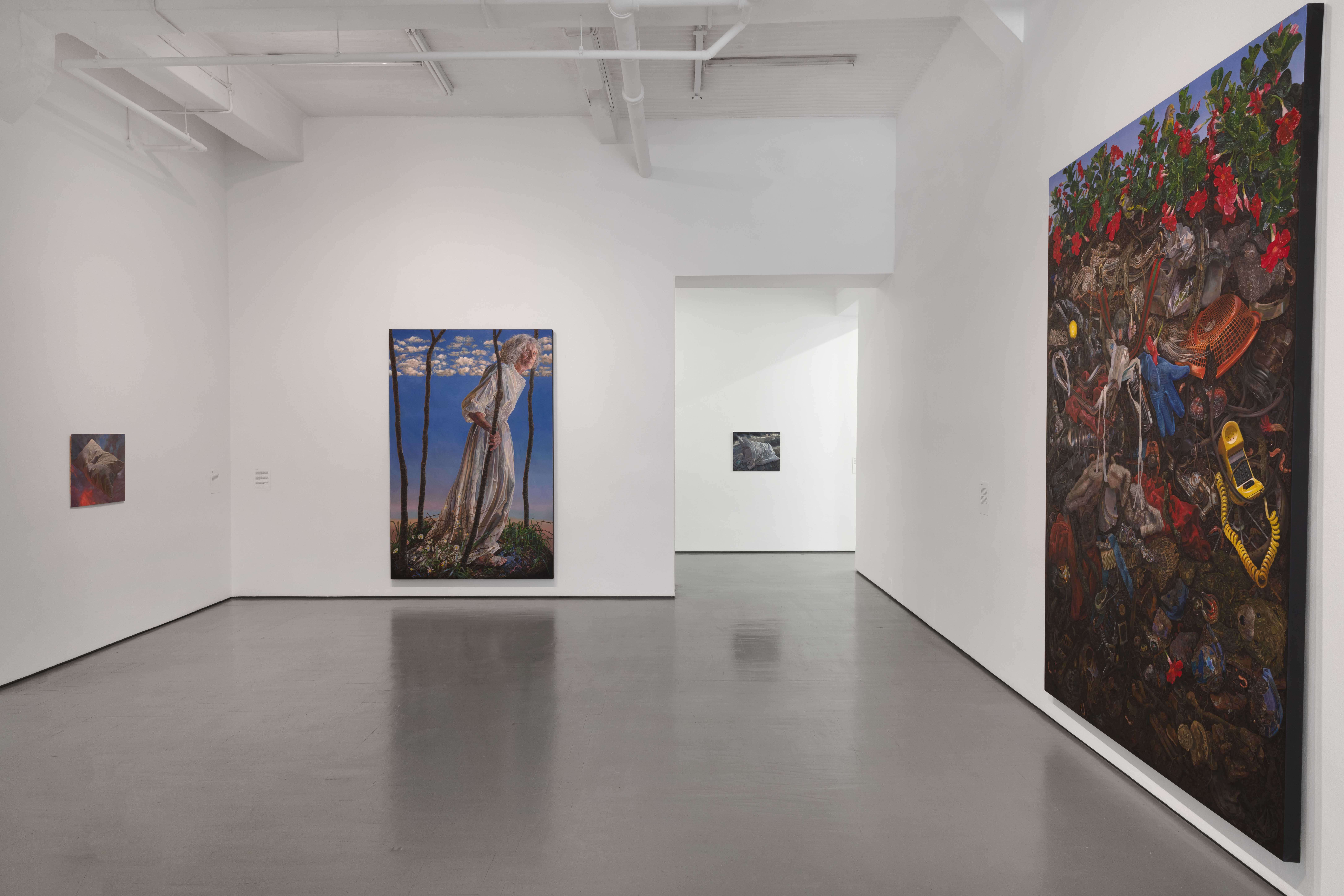 Installation view