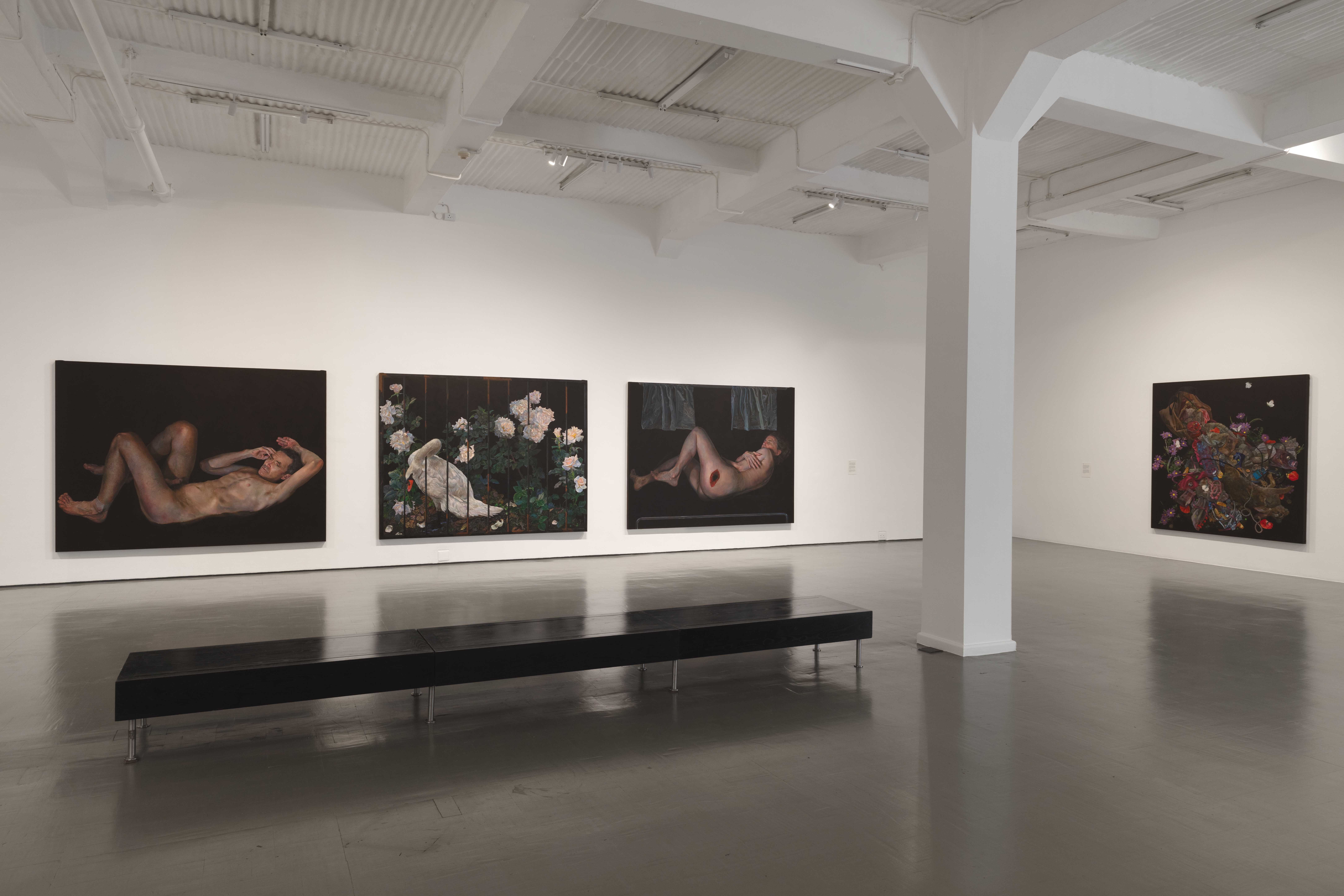 Installation view