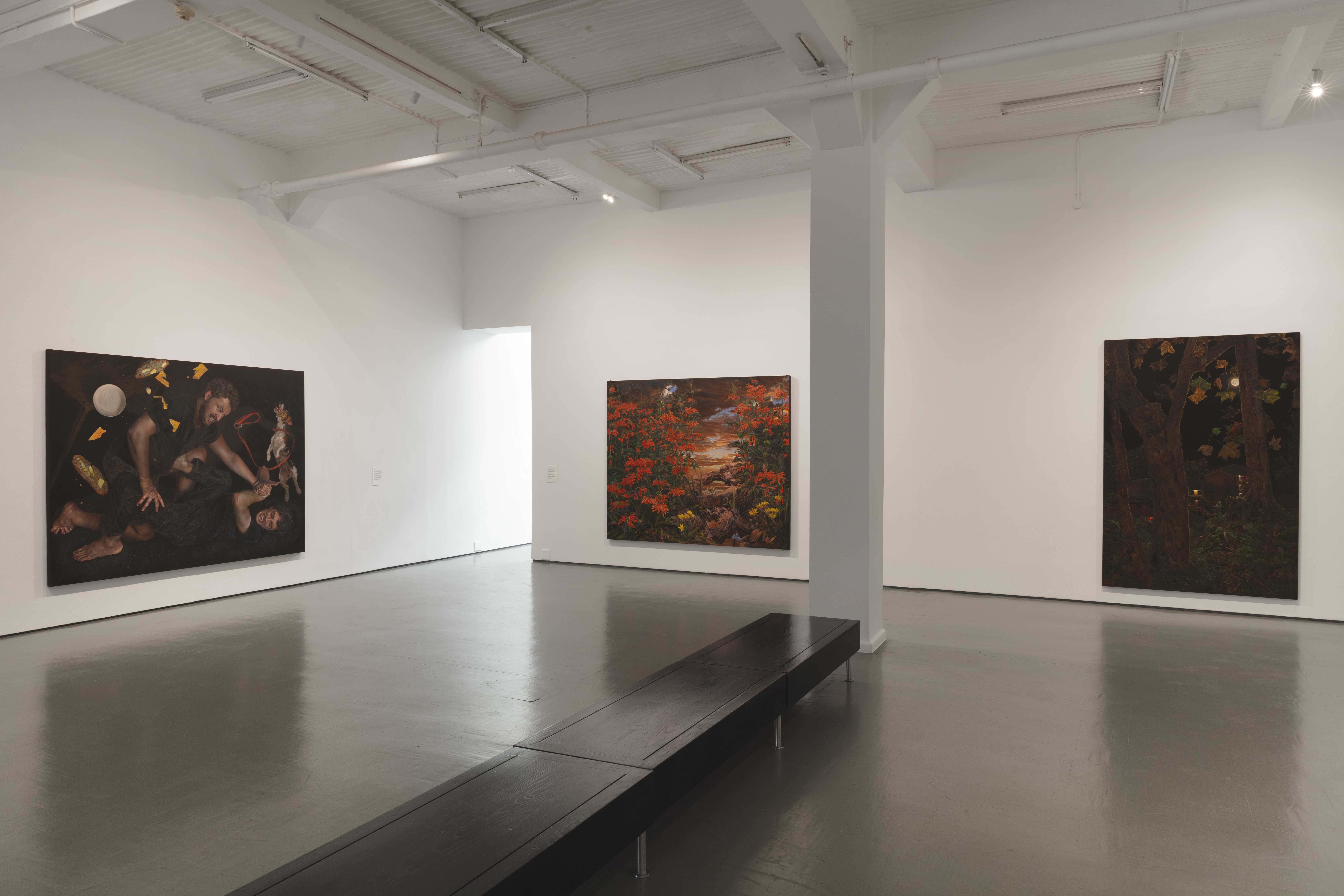 Installation view