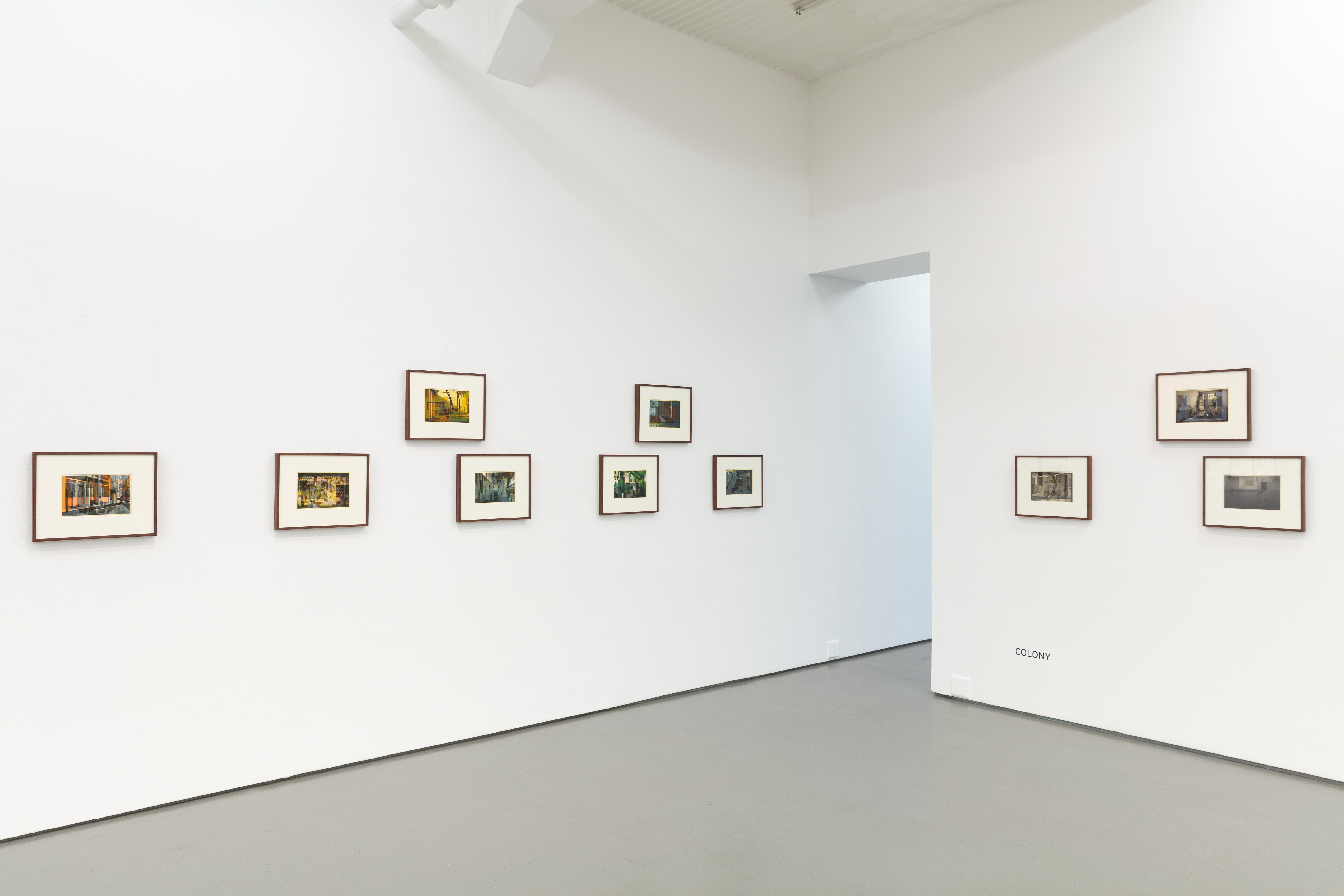 Installation view - Lusochroma and Colony