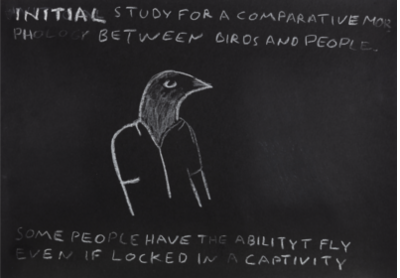 INITIAL STUDY FOR A COMPARATIVE MORPHOLOGY BETWEEN BIRDS AND PEOPLE [Some people have the ability t fly even if locked in a captivity]